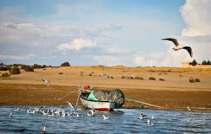 AL FAYOUM une journée