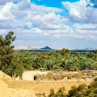 Bahariya Oasis
